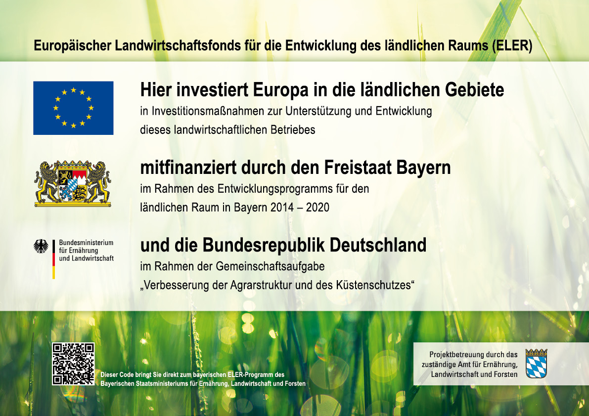 2-eif