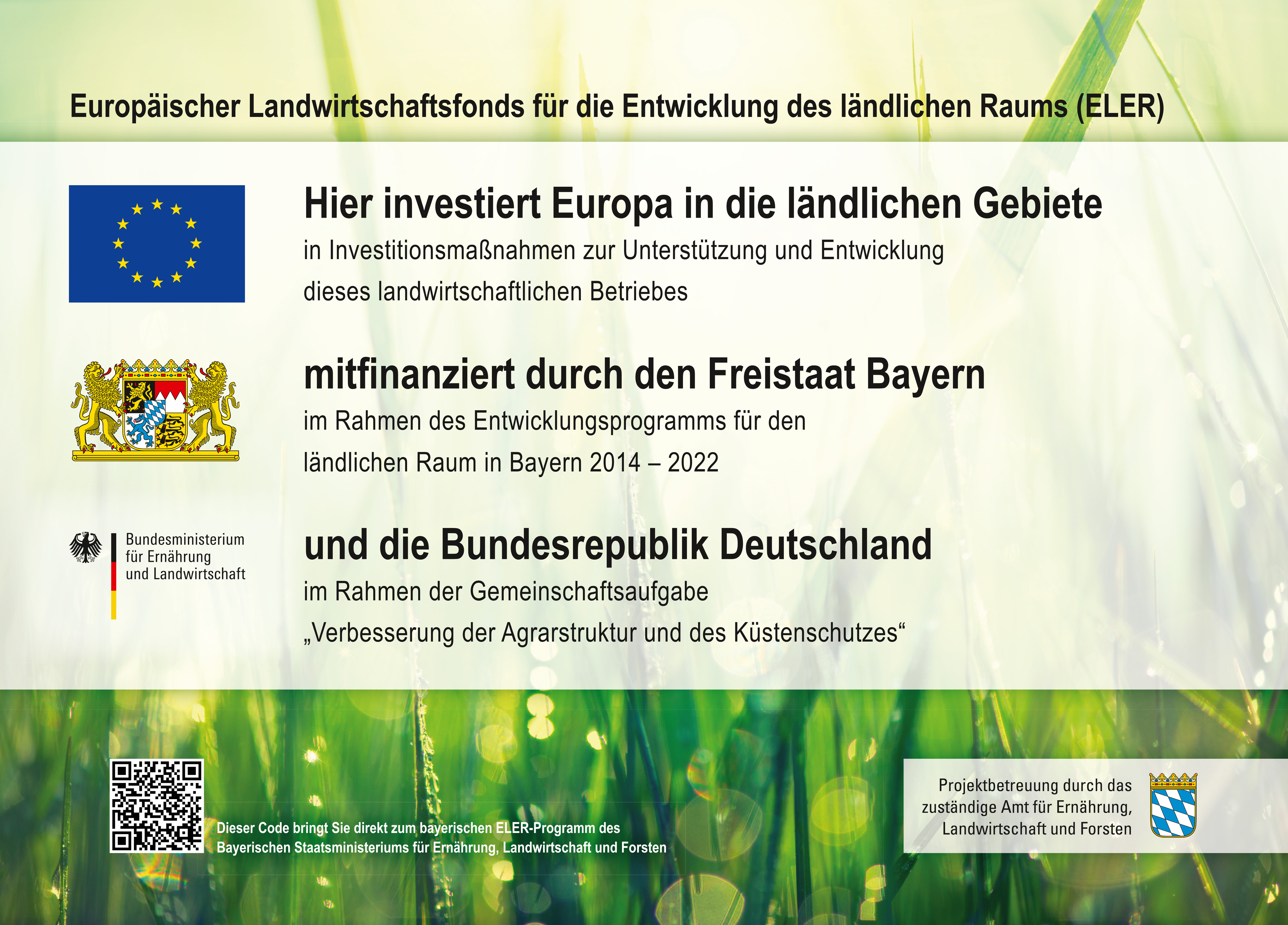 2-eif