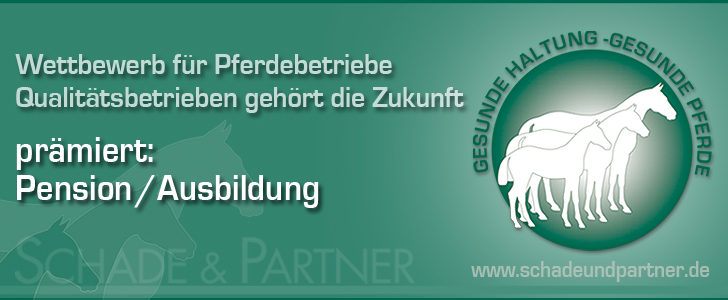 Banner728x300Prmiert