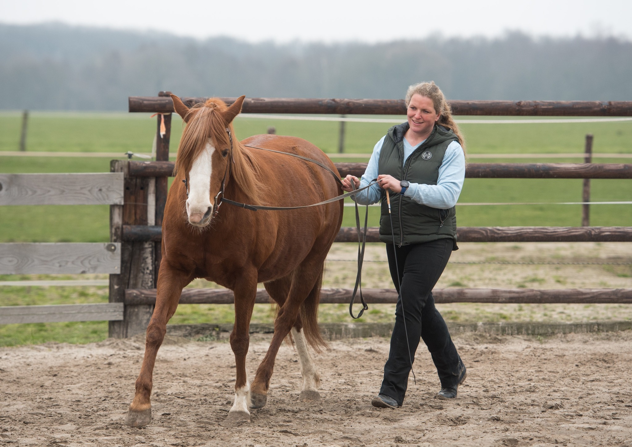 Britta_Kurs