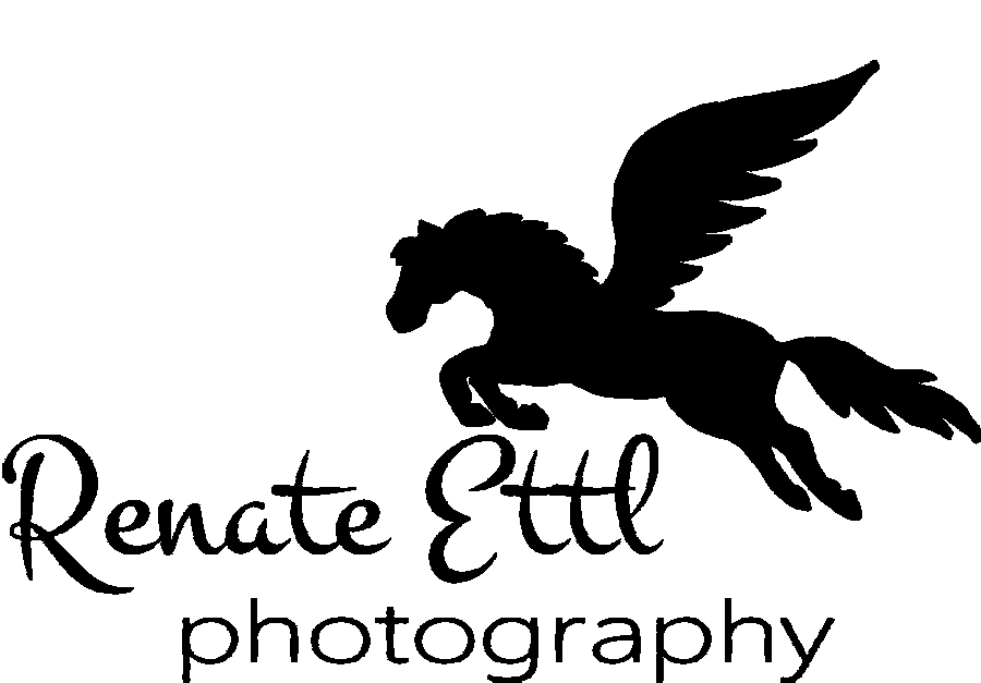 Fotografie_Logo