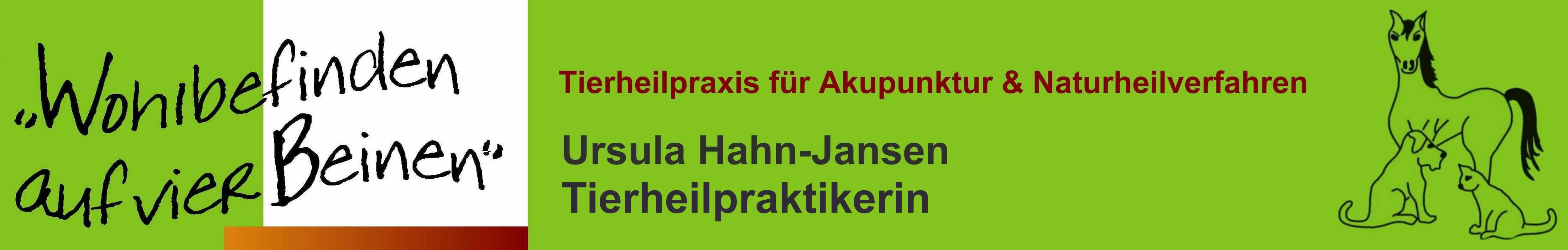 Logo Hahn-Jansen