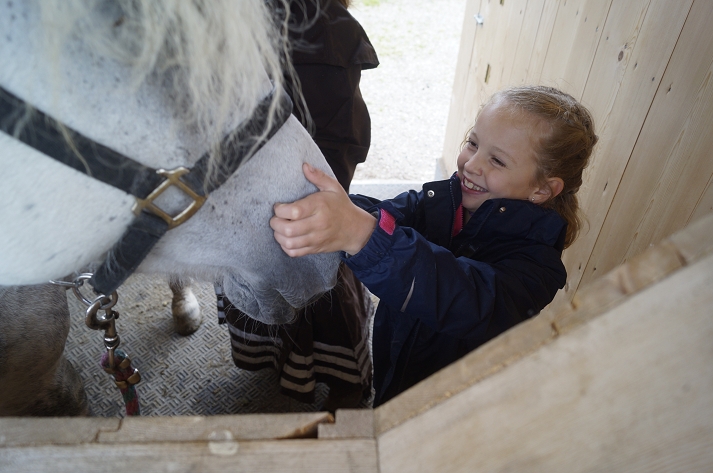 Pferd_DSC9633