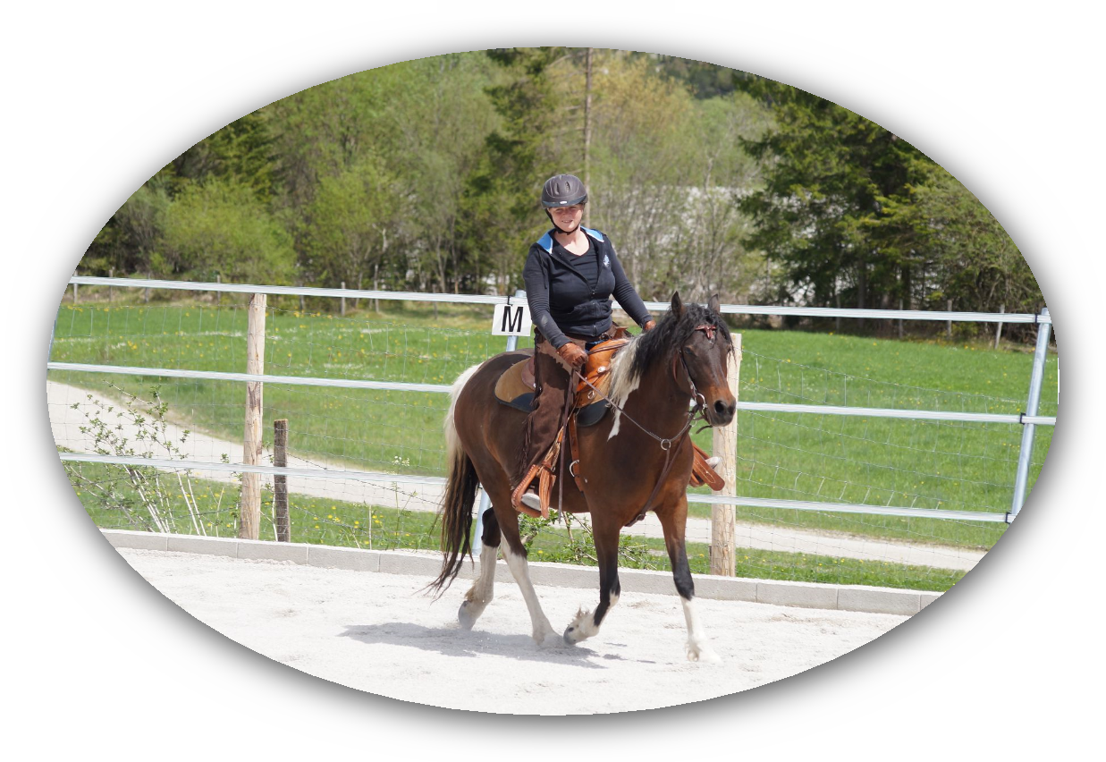 Westernreitschule