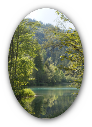 k-Sachensee